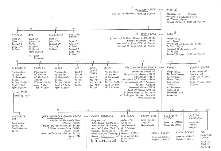 Finch Family Tree by Freda