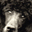 ap_4a.jpg (1787 bytes)