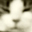 ap_6A.jpg (1373 bytes)