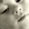 pp #6a.jpg (1410 bytes)