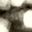 pp #7A.jpg (1427 bytes)